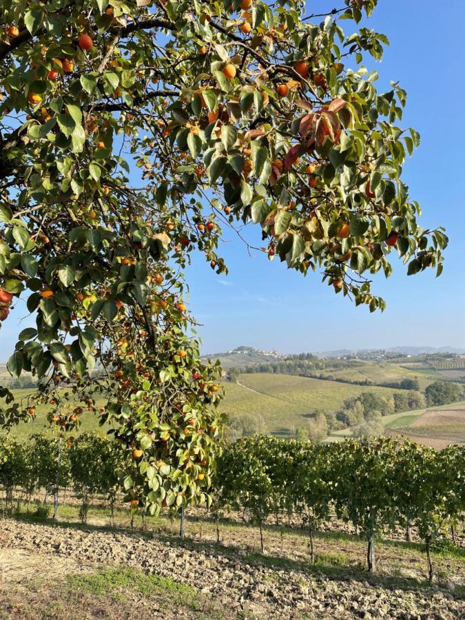 Locazione Turistica Cascina Pela Daire Castagnole delle Lanze Dış mekan fotoğraf