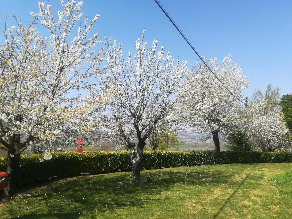 Locazione Turistica Cascina Pela Daire Castagnole delle Lanze Dış mekan fotoğraf